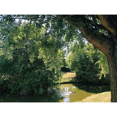 Du Pasino Saint-Amand-les-Eaux