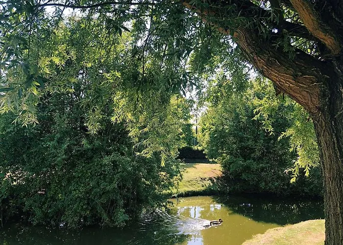 Du Pasino Saint-Amand-les-Eaux